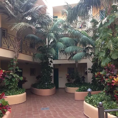 Daire Parque Tropical Los Cristianos Los Cristianos (Tenerife)